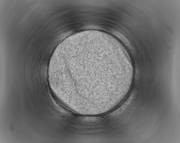 X0000112410849200909110948