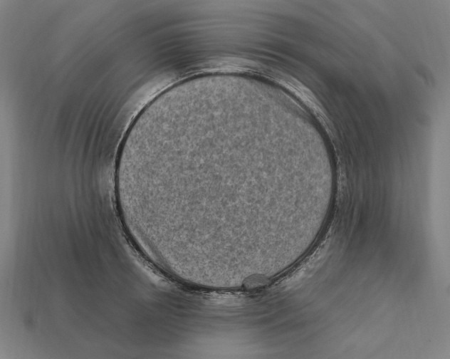 X0000112410850200909110948