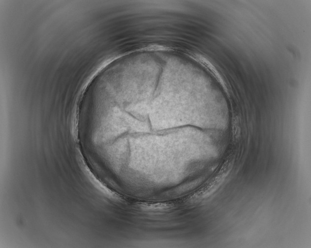X0000112410851200909110948