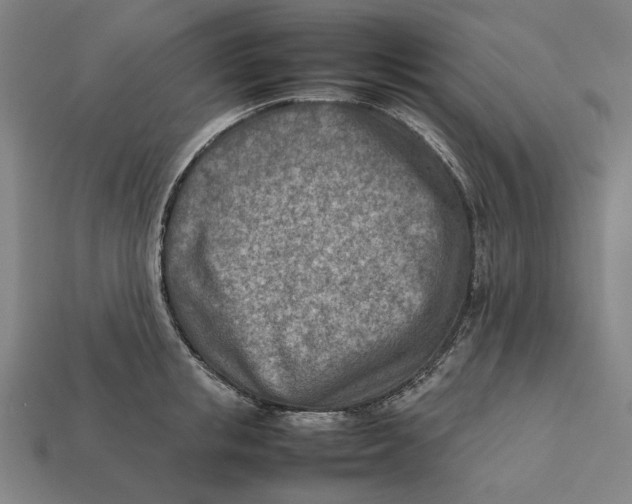 X0000112410853200909110948