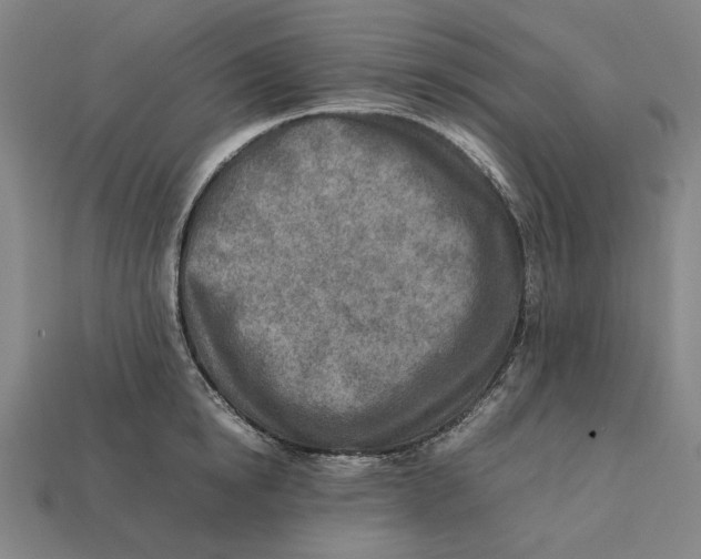 X0000112410854200909110948