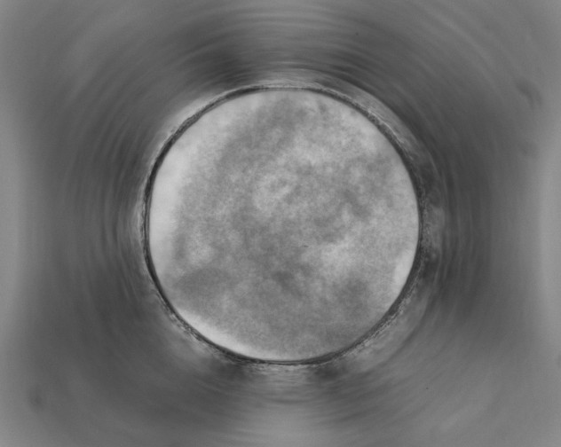 X0000112410856200909110948