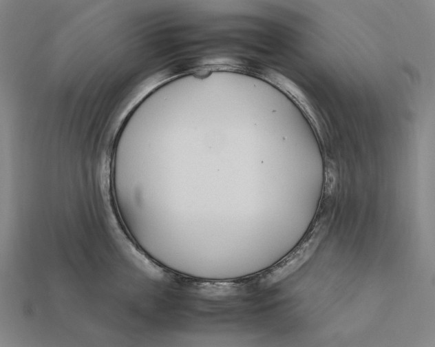 X0000112410859200909110948