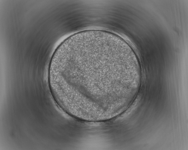 X0000112410862200909110948