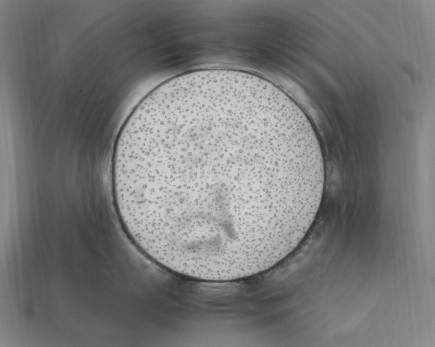 X0000112410863200909110948