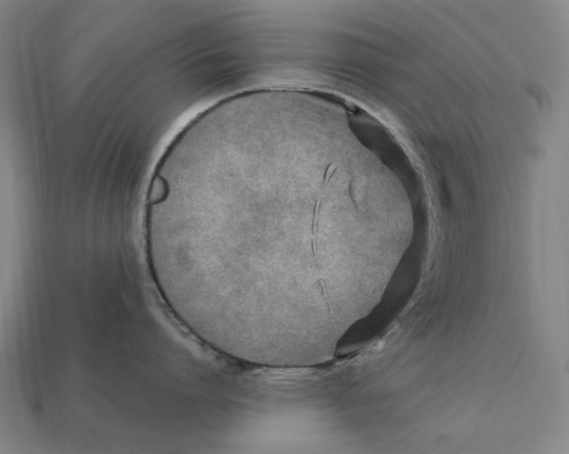 X0000112410864200909110948