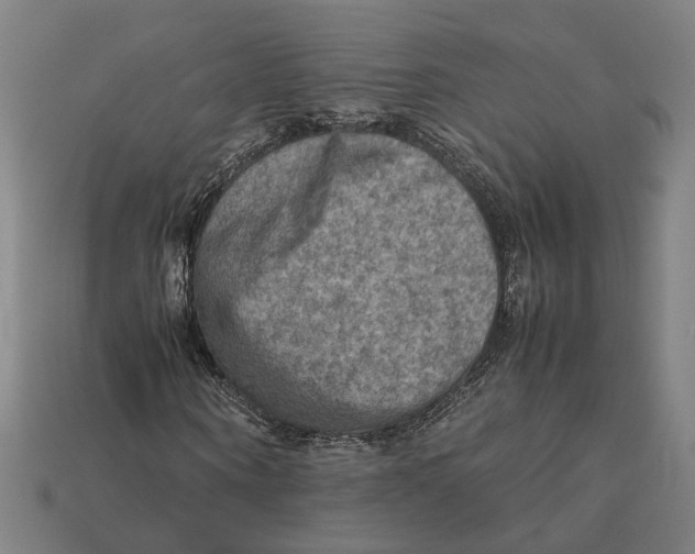 X0000112410866200909110948