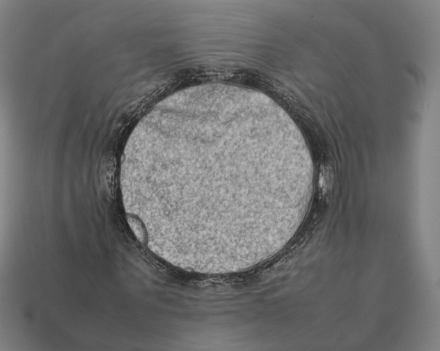 X0000112410867200909110948