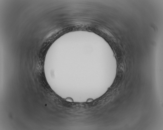 X0000112410869200909110948