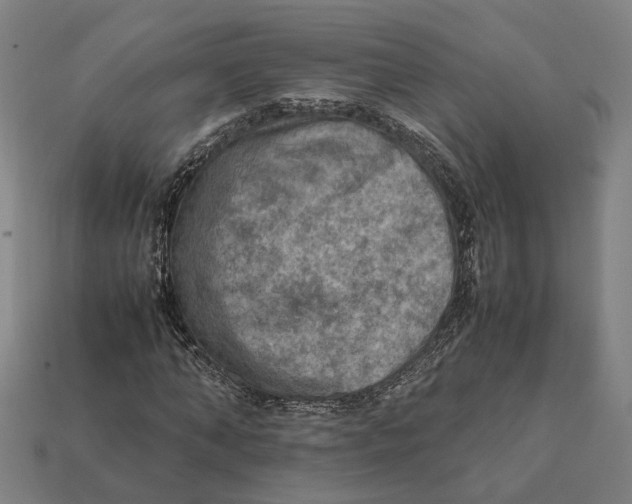 X0000112410870200909110948
