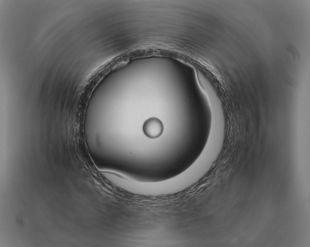 X0000112410872200909110948