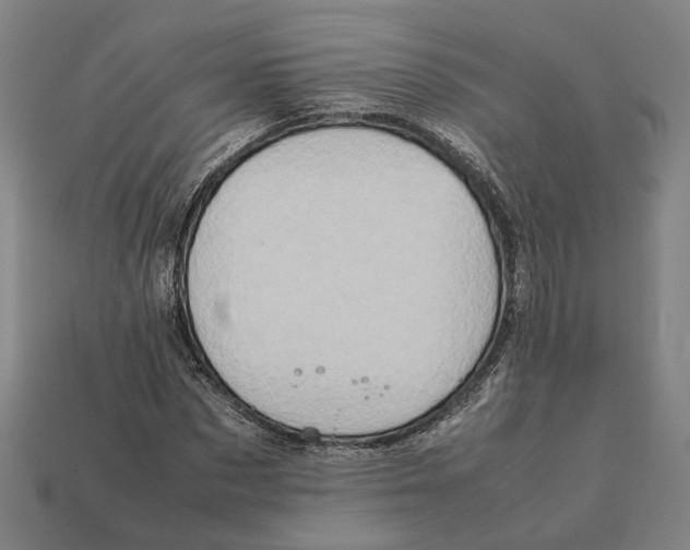 X0000112410873200909110948