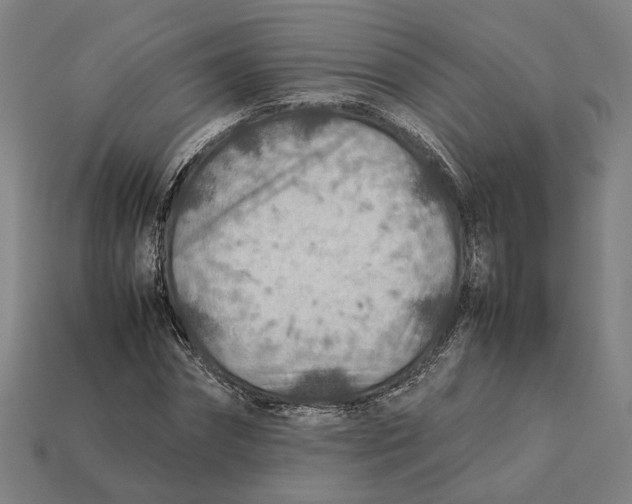 X0000112410874200909110948