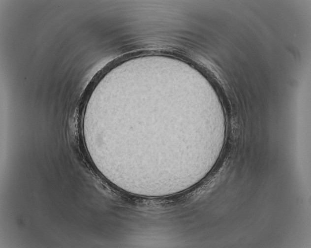X0000112410875200909110948