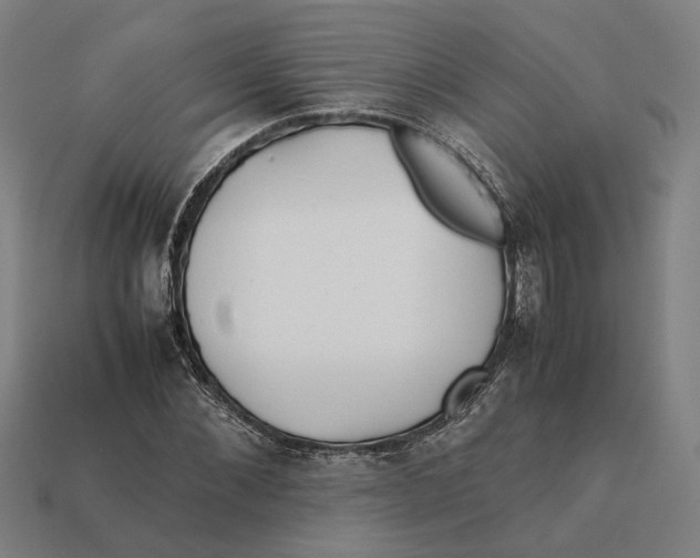 X0000112410876200909110948
