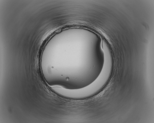 X0000112410877200909110948