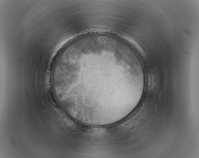 X0000112410878200909110948
