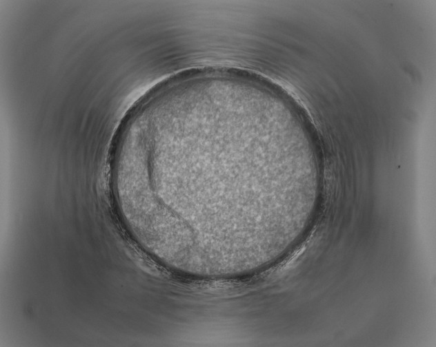 X0000112410879200909110948