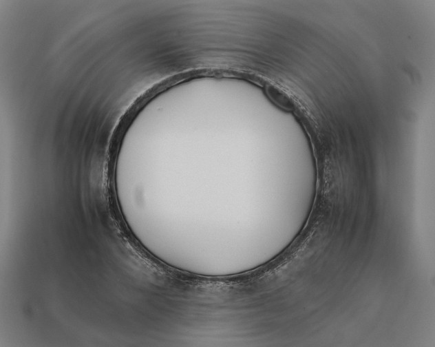X0000112410880200909110948