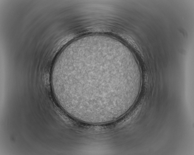 X0000112410881200909110947