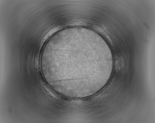 X0000112410882200909110947