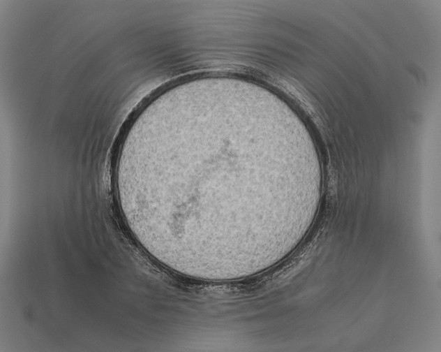 X0000112410883200909110947