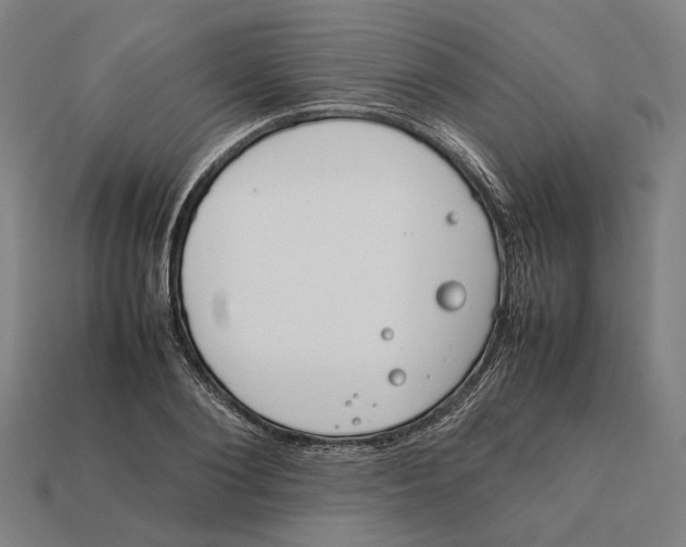 X0000112410884200909110947