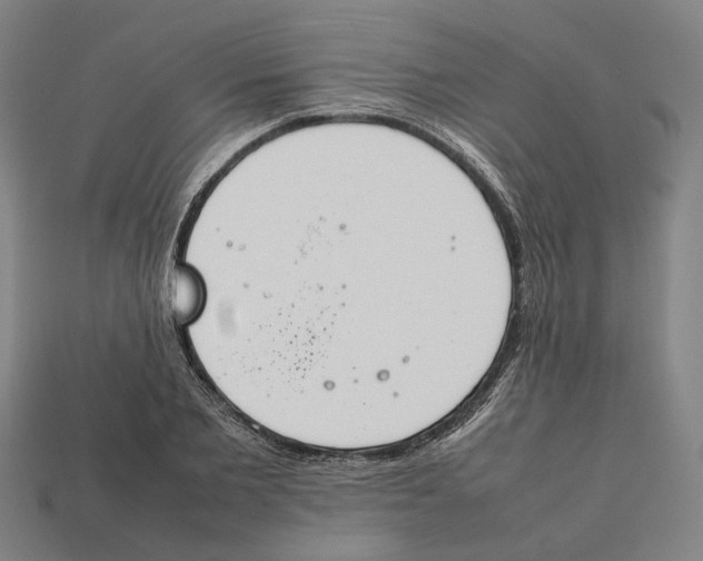 X0000112410885200909110947