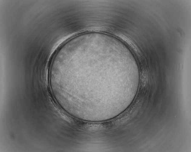 X0000112410886200909110947