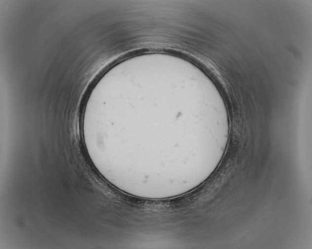 X0000112410887200909110947