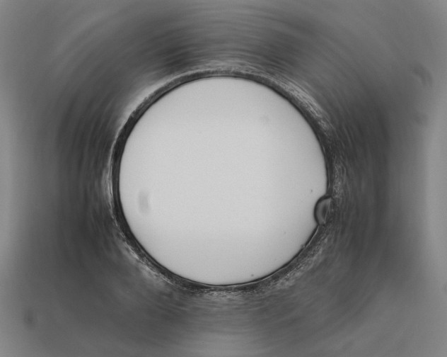 X0000112410888200909110947