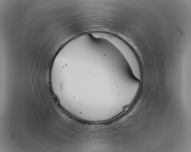 X0000112410889200909110947