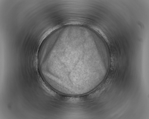 X0000112410890200909110947
