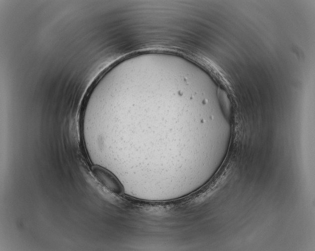 X0000112410892200909110947