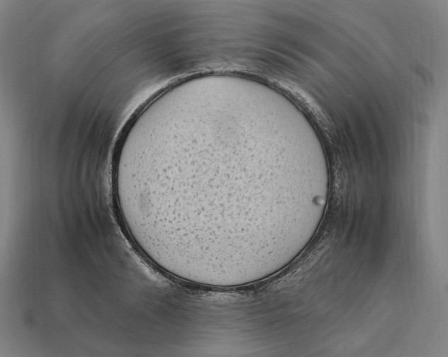 X0000112410894200909110947
