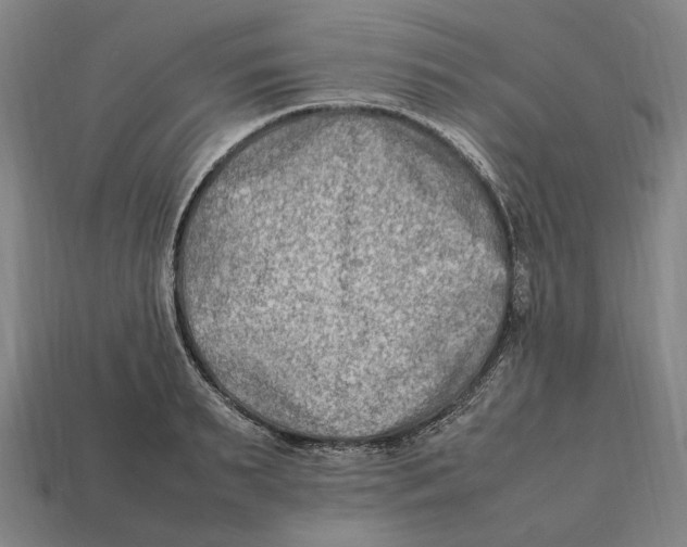 X0000112410895200909110947
