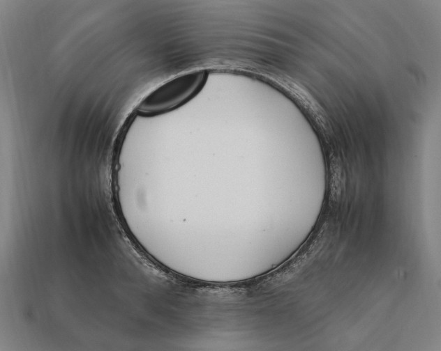 X0000112410896200909110947