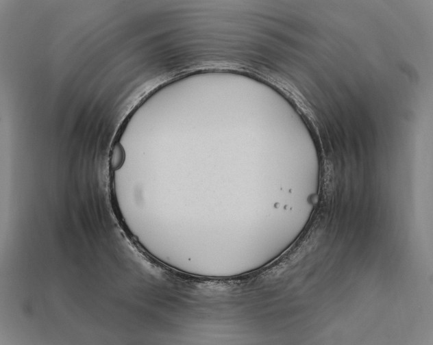 X0000112410898200909110947