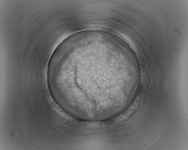 X0000112410899200909110947