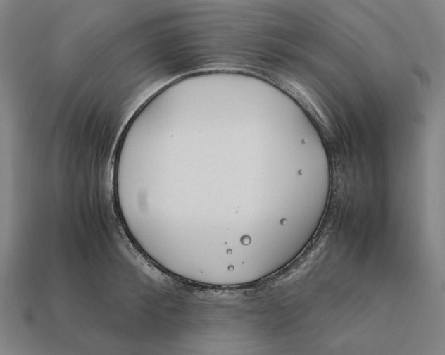 X0000112410900200909110947