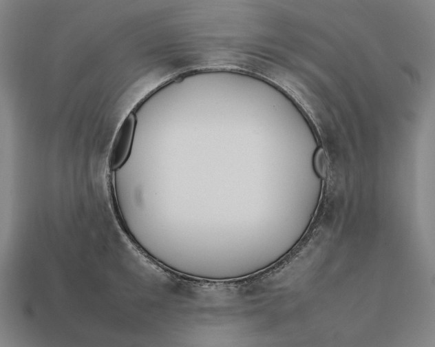 X0000112410901200909110947