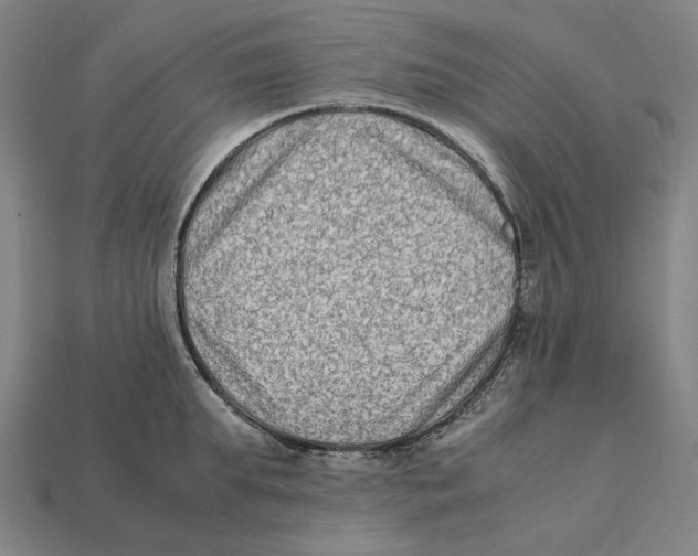X0000112410903200909110947
