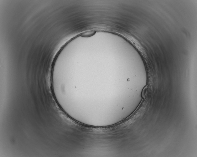 X0000112410904200909110947