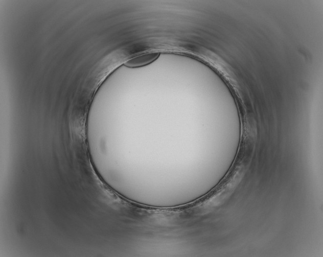 X0000112410905200909110947