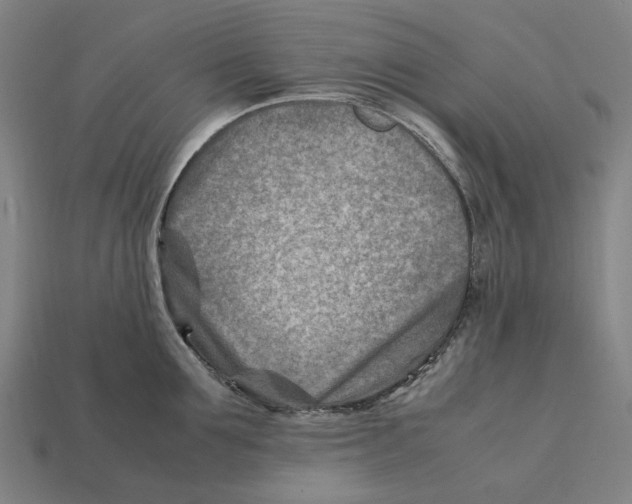 X0000112410907200909110947