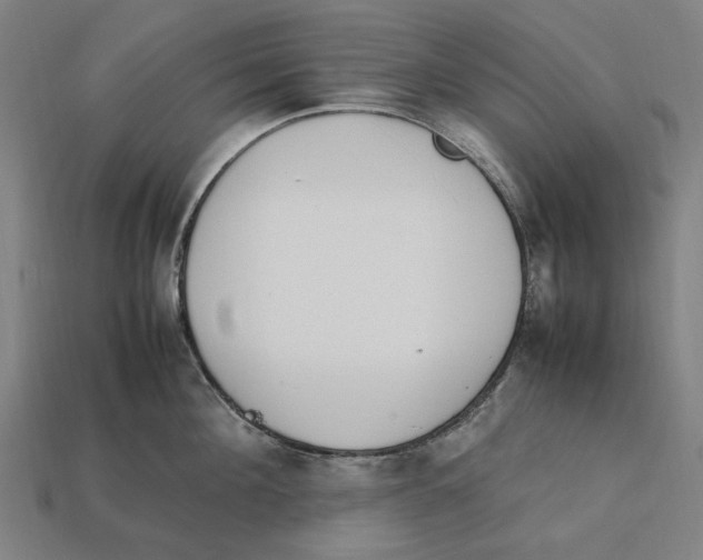 X0000112410908200909110947