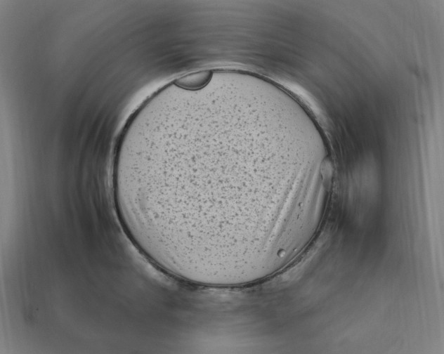 X0000112410910200909110947