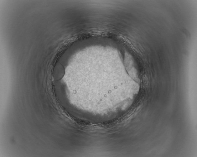 X0000112410913200909110946