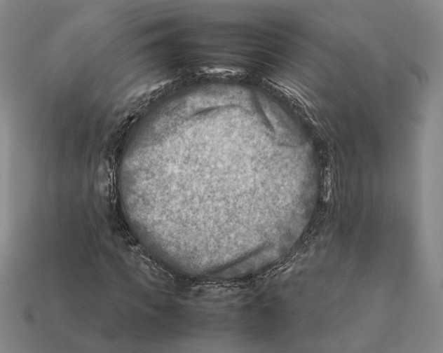 X0000112410917200909110947