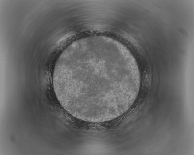 X0000112410918200909110947